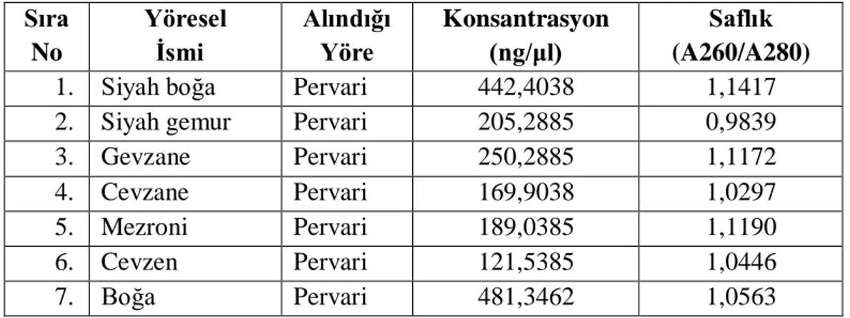 Çizelge 4.4. Siirt ilinin Pervari ilçesinde alınan üzüm çeşitlerine ait DNA örneklerinin konsantrasyon                        ve saflık miktarları