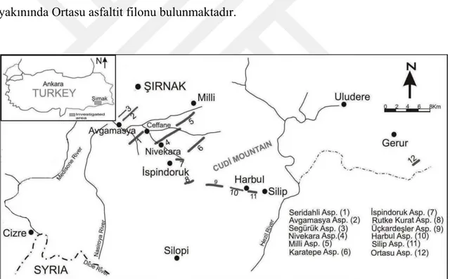 Şekil 2.5. Güneydoğu Anadolu bölgesindeki asfaltit filonları (Gönenç, 1990) 