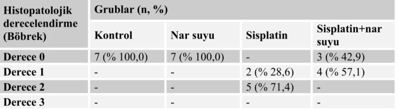 Tablo  1.  Deneklerin  böbreklerinde   meydana   gelen   hasarlanmaların   histopatolojik değerlendirme sonuçları