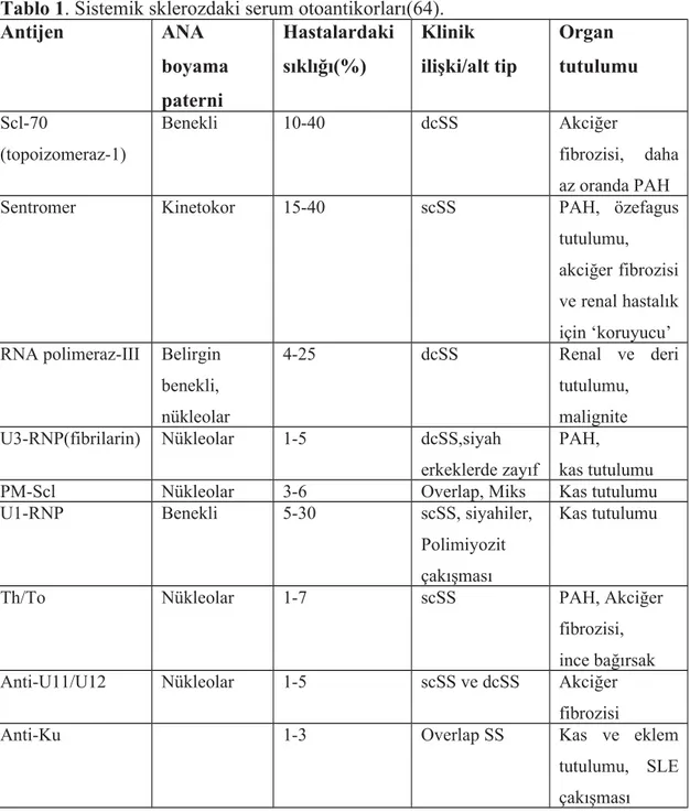 Tablo 1. Sistemik sklerozdaki serum otoantikorları(64). Antijen ANA boyama paterni Hastalardakisıklığı(%) Klinik ilişki/alt tip Organ tutulumu Scl-70 (topoizomeraz-1) Benekli 10-40 dcSS Akciğer fibrozisi,   daha az oranda PAH