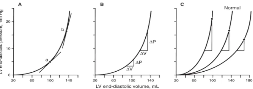 Şekil 2. LV basınç-hacim ilişkileri. Farklı basınçlardaki (Panel A, a ve b) teğetin eğimi aynı