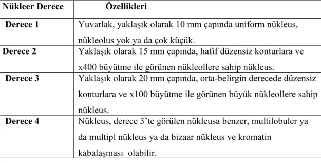 Tablo 1: Fuhrman Derecelendirme Sistemi (58)