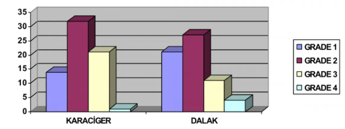 Tablo 8- KC ve Dalak Yaralanması Grade