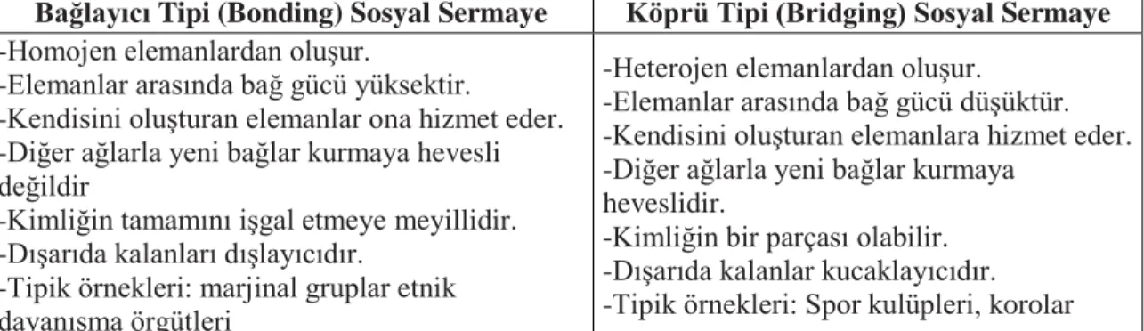 Tablo 7: Bağlayıcı ve Köprü Kuran Bağlar Arasındaki Farklar 