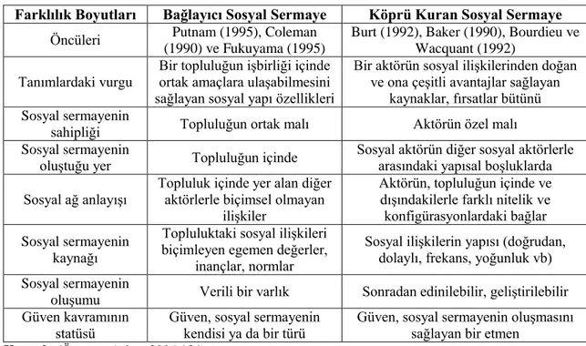 Tablo 8: Bağlayıcı ve Köprü Kuran Bağlar Arasındaki Farklılıklar 