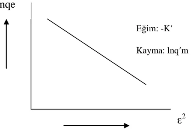 Şekil 1.6. DR Çizgisel izotermi 