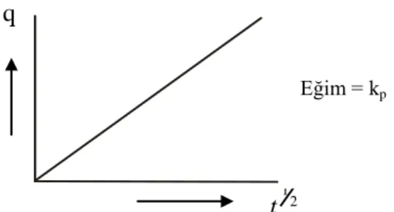 Şekil 1.11. Weber - Morris denkleminin çizgisel şekli 