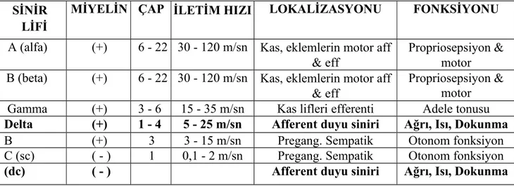 Tablo 1: Periferik sinir liflerinin özellikleri