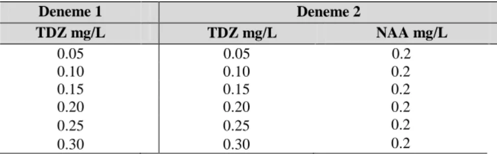 Çizelge  3.3.  Sümbül  bitkisinin  olgunlaşmamış  embriyolarının  20  ve  40  g/L  şeker  içeren MS besin  ortamında farklı oranlarda TDZ ve NAA içeren deneme  