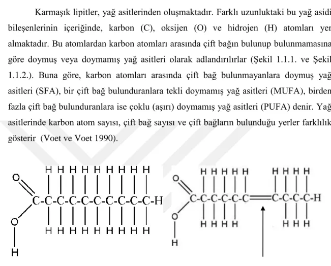 Şekil 1.1.1. Doymuş yağ asiti  Şekil 1.1.2. Doymamış yağ asiti 