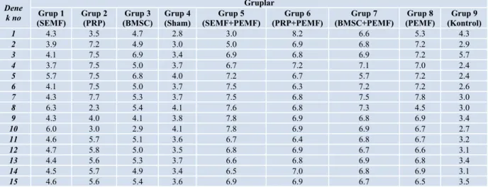 Tablo 1: Donör sıçanlardan elde edilen PRP’deki trombosit değerleri (K/µL)