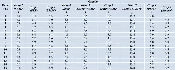 Tablo 4: Deneklere uygulanan osteokalsin ölçümlerinin (ng/ml) sonuçları (N: 3.1-13.7)