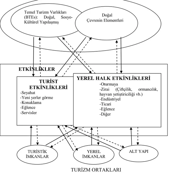 Şekil 4: Ortakların Turizm ve Diğer Aktivitelerle Olan İlişkisi 