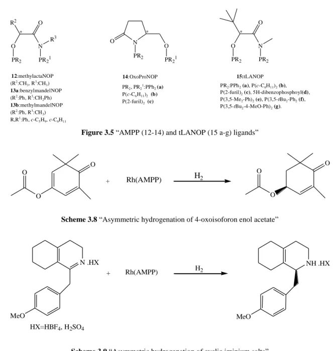Figure 3.5 “AMPP (12-14) and tLANOP (15 a-g) ligands” 