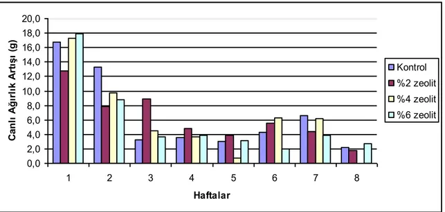 Grafik 2. Deneme gruplarının haftalık ortalama canlı ağırlık artıĢındaki değiĢim 