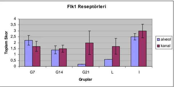 Grafik 4.7. Sıçan memesinde VEGFR-2 (Flk1) reseptörlerinin immunreaksiyonunun  toplam skoru    Flt-1 Reseptörleri012345678G7G14G21 L IGruplarToplam Skor alveolkanalFlk1 Reseptörleri00,511,522,533,54G7G14G21LIGruplarToplam Skoralveolkanal