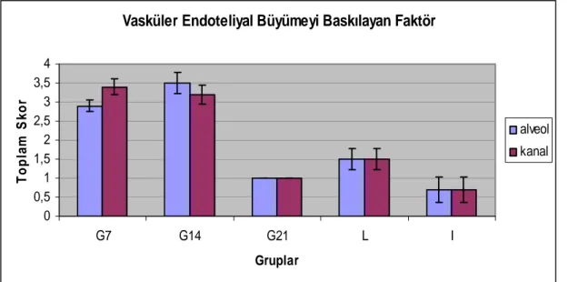Grafik 4.9. Sıçan memesinde VEGI immunreaksiyonunun toplam skoru   Vasküler Endoteliyal Büyümeyi Baskılayan Faktör