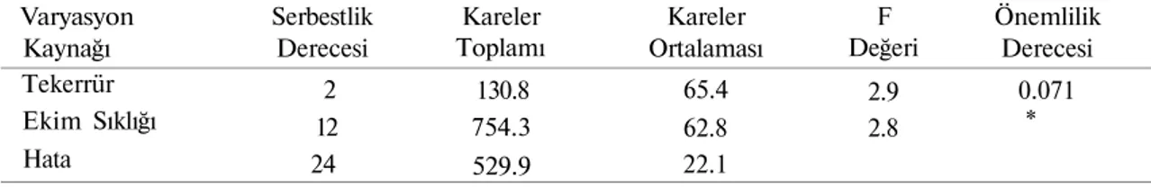 Çizelge incelendiğinde bitki boyu ortalamaları yönüyle ekim sıklıkları arasında farklı  gruplar oluştuğu görülmüştür