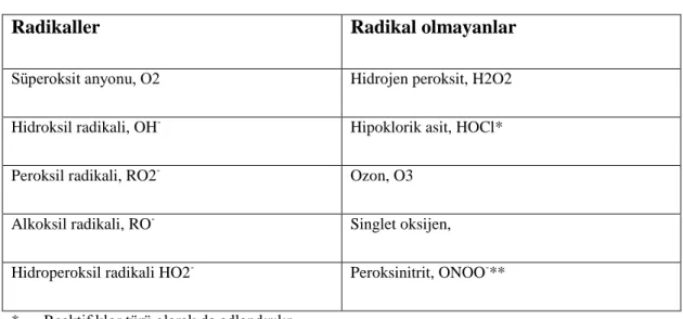 Tablo 1: Reaktif oksijen türleri 