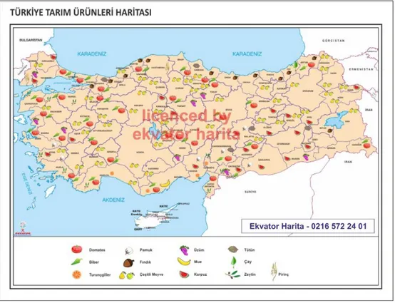 Şekil 1.1. Türkiye Meyve Haritası (TMH, 2017).