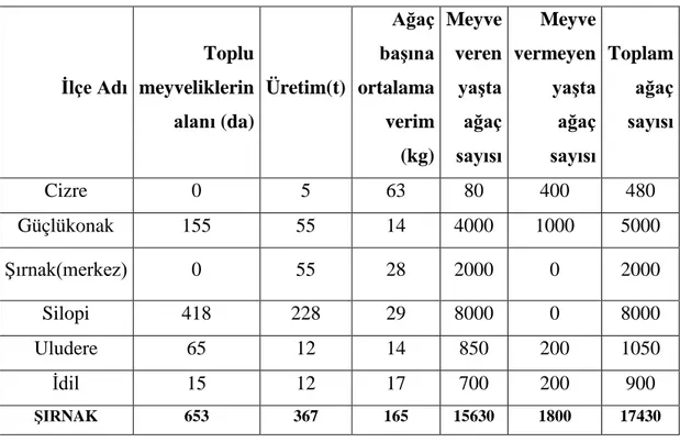 Çizelge 1.4. Şırnak ilinin nar üretim değerleri (TÜİK, 2016). 