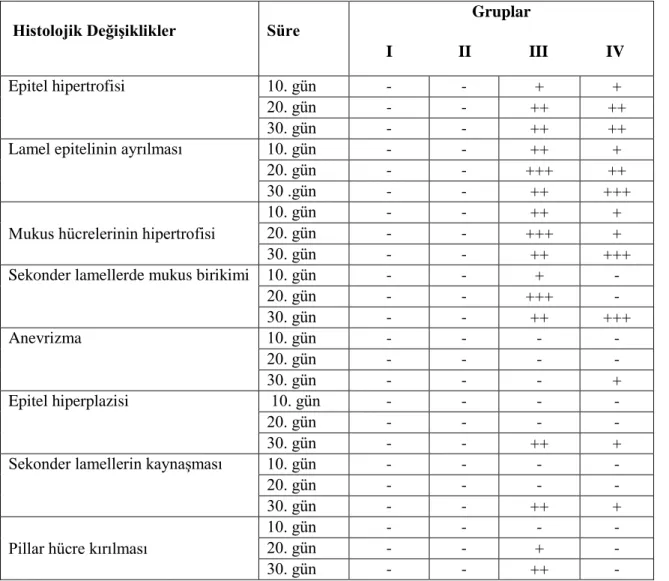 Çizelge 4.1 Solungaçlarda saptanan lezyonların değerlendirilmesi 