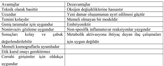 Tablo 2.1. KAM modeliyle çalışmanın avantaj ve dezavantajı (53)*.