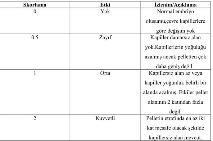 Tablo 3.2. İlaç gruplarına göre yapılan uygulama sayısı