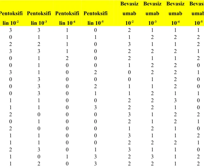 Tablo 4. 1. Pentoksifilinin ve kontrol grubu olan bevasizumabın farklı konsatrasyonlardaki  