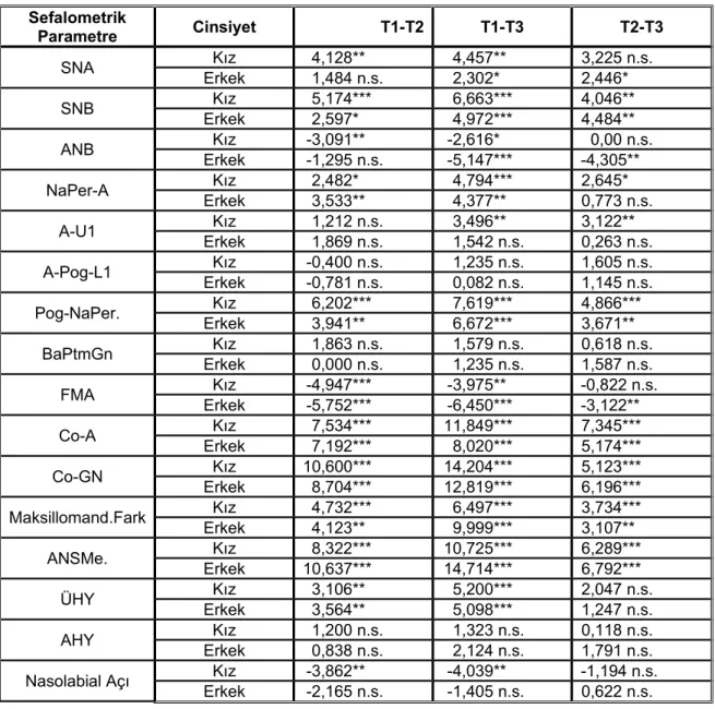 Tablo 6: Paired (eşleştirilmiş) t testi sonuçları