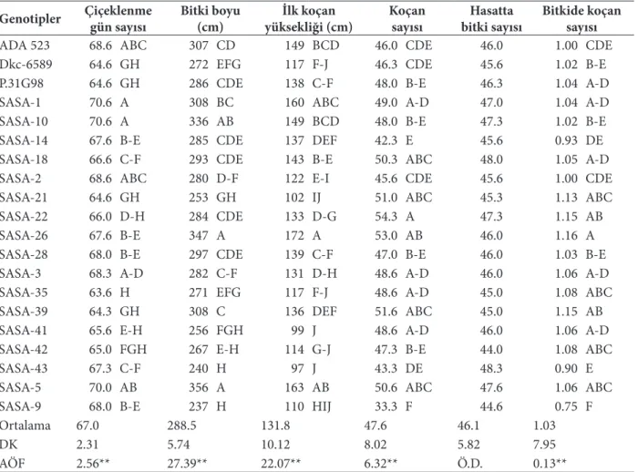 Tablo 3: Denemeye ait % 50 çiçeklenme gün sayısı, bitki boyu, ilk koçan yüksekliği, koçan sayısı, hasatta bitki sayısı 