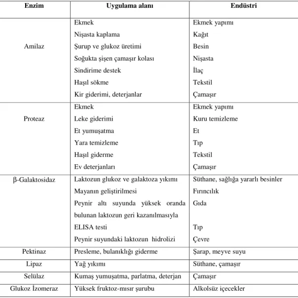 Çizelge 2.3. Farklı endüstriyel alanlarda kullanılan enzimler ve uygulama alanları (Madigan ve Martinko 
