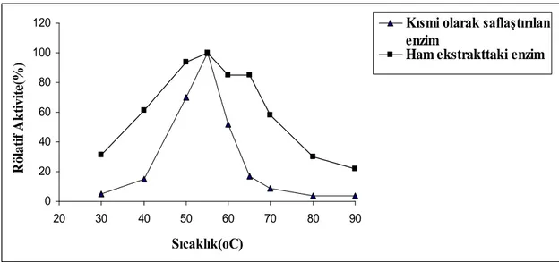Şekil  4.4.  β-Galaktozidaz  Aktivitesi  Üzerine  Farklı  Substrat  Konsantrasyonlarının 