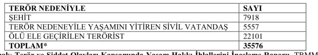 Tablo 7: Terör Nedeniyle Yaşanan Toplam Can Kaybı 