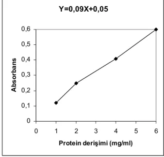 Şekil 1. Protein derişimi ve absorbans arasındaki doğrusal ilişki 