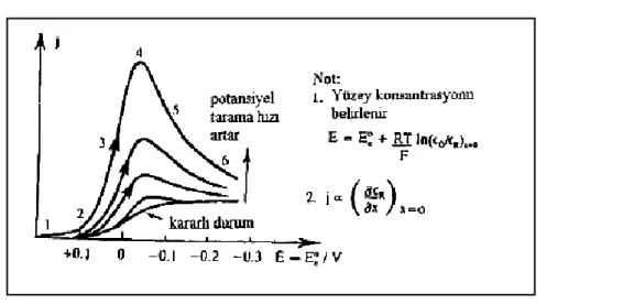 Şekil 1.13 SV’de Kararlı Durumda Tarama Hızı Artırılarak Elde Edilen Eğri 