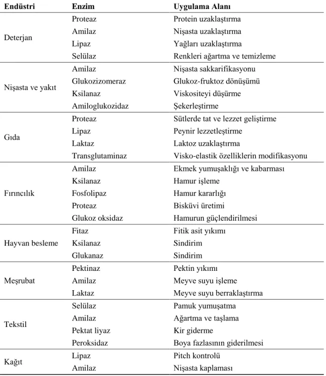 Çizelge 1.1. Endüstriyel enzimler ve kullanım alanları (Önal 2010) 