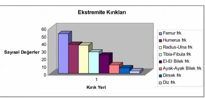 Grafik 12: Ekstremite kırıkları