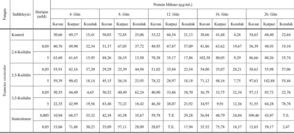 Çizelge 4.4 T. versicolor’ın uygulanan koşullar altındaki zamana bağlı protein miktarı  Fungus  İndükleyici  Derişim (mM)  Protein Miktarı (g/mL) 4