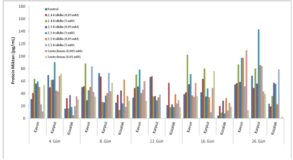 Şekil 4.3. T. versicolor’ın uygulanan koşullar altındaki zamana bağlı protein miktarı 