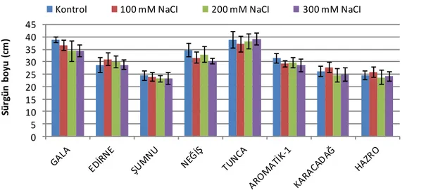 Çizelge 4.2. NaCI’nin farklı konsantrasyonları ile oluşturulan stres ortamında çeşitlerin kök  