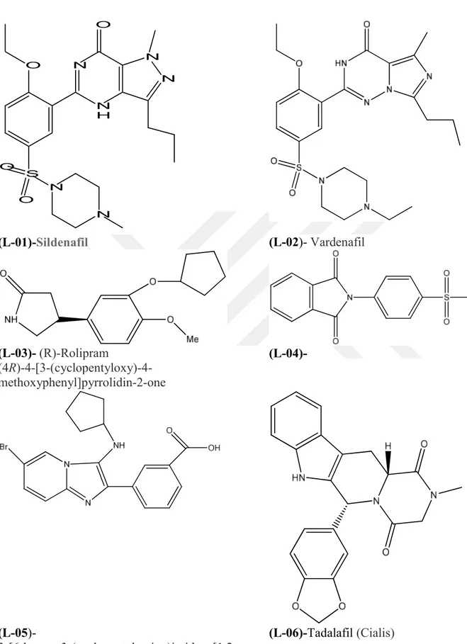 Tablo 1. Literatürlerden Seçilen ve Tasarlanan Ligantlar  O S NHN N NOOO NN (L-01)- Sildenafil (L-02)-  Vardenafil  (L-03)-  (R)-Rolipram   (4R)-4-[3-(cyclopentyloxy)-4-methoxyphenyl]pyrrolidin-2-one (L-04)-  (L-05)-   3-[6-bromo-3-(cyclopentylamino)imidaz