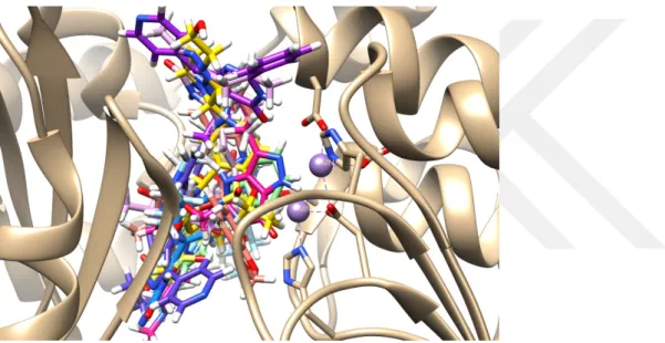 Şekil 2. L01, L02, L04, L06, L25, L26, L27, L31, L32 ve L33’ün proteine bağlama  modları