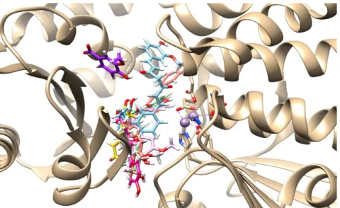 Şekil 5. 001, 002, 005, 008, 010, 016, 027, 028 ve 029 ligantlarının protein bağlanma  modları