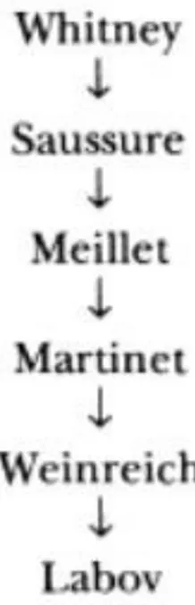 Şekil 1: Toplumdilbilim tarihi şematik düzlem (Koerner, 2007: 62). 