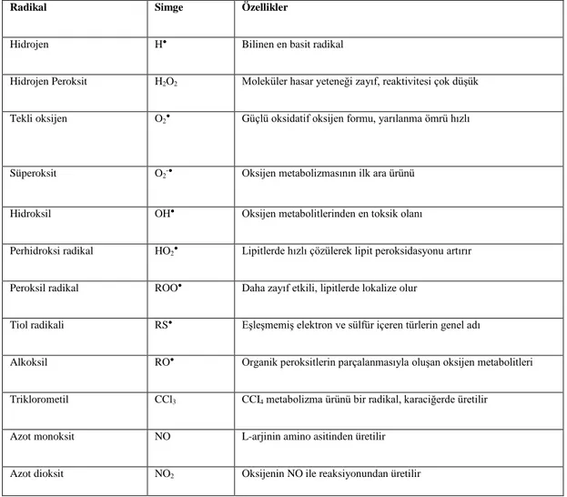 Çizelge 1.1.Radikaller, simgeleri ve özellikleri (Çöllü 2007, Kıral 2012). 