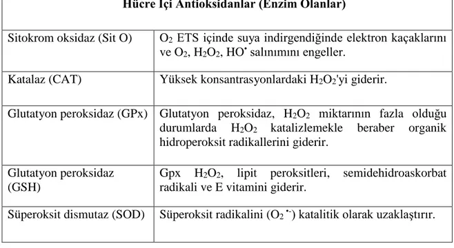Çizelge 1.2.Hücre içi antioksidanlar (Gutteridge 1996). 