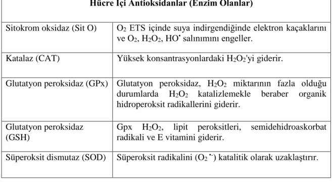 Çizelge 1.2.Hücre içi antioksidanlar (Gutteridge 1996). 