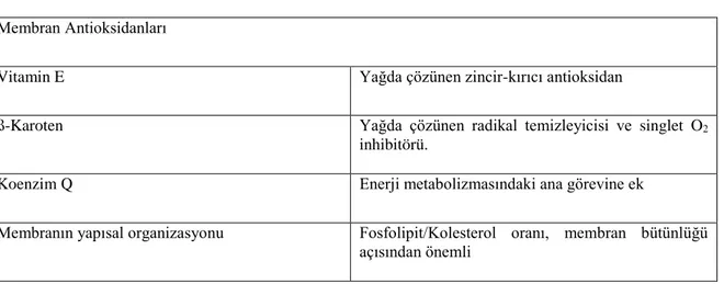 Çizelge 1.4. Hücre membranı antioksidanları (Gutteridge 1996). 