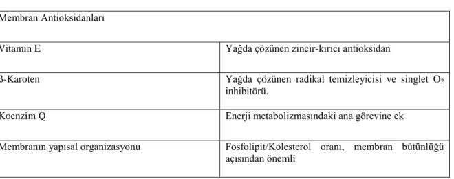 Çizelge 1.4. Hücre membranı antioksidanları (Gutteridge 1996). 